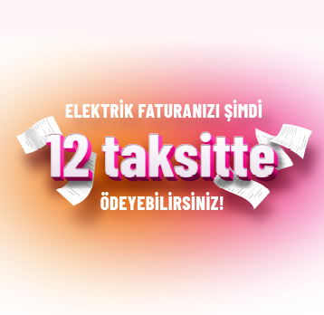 Elektrik Faturanızı Şimdi 12 Taksitte Ödeyebilirsiniz!